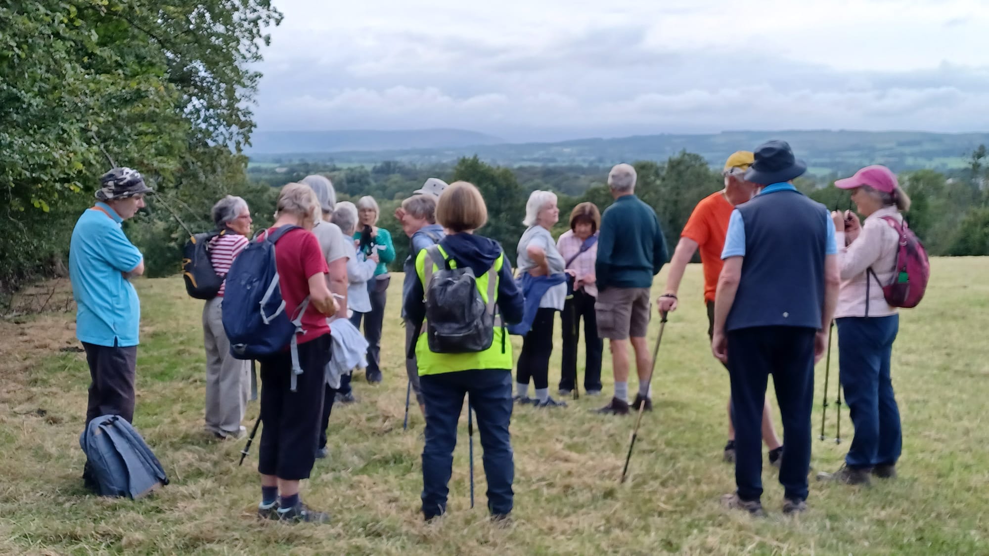 Standen Stroll
